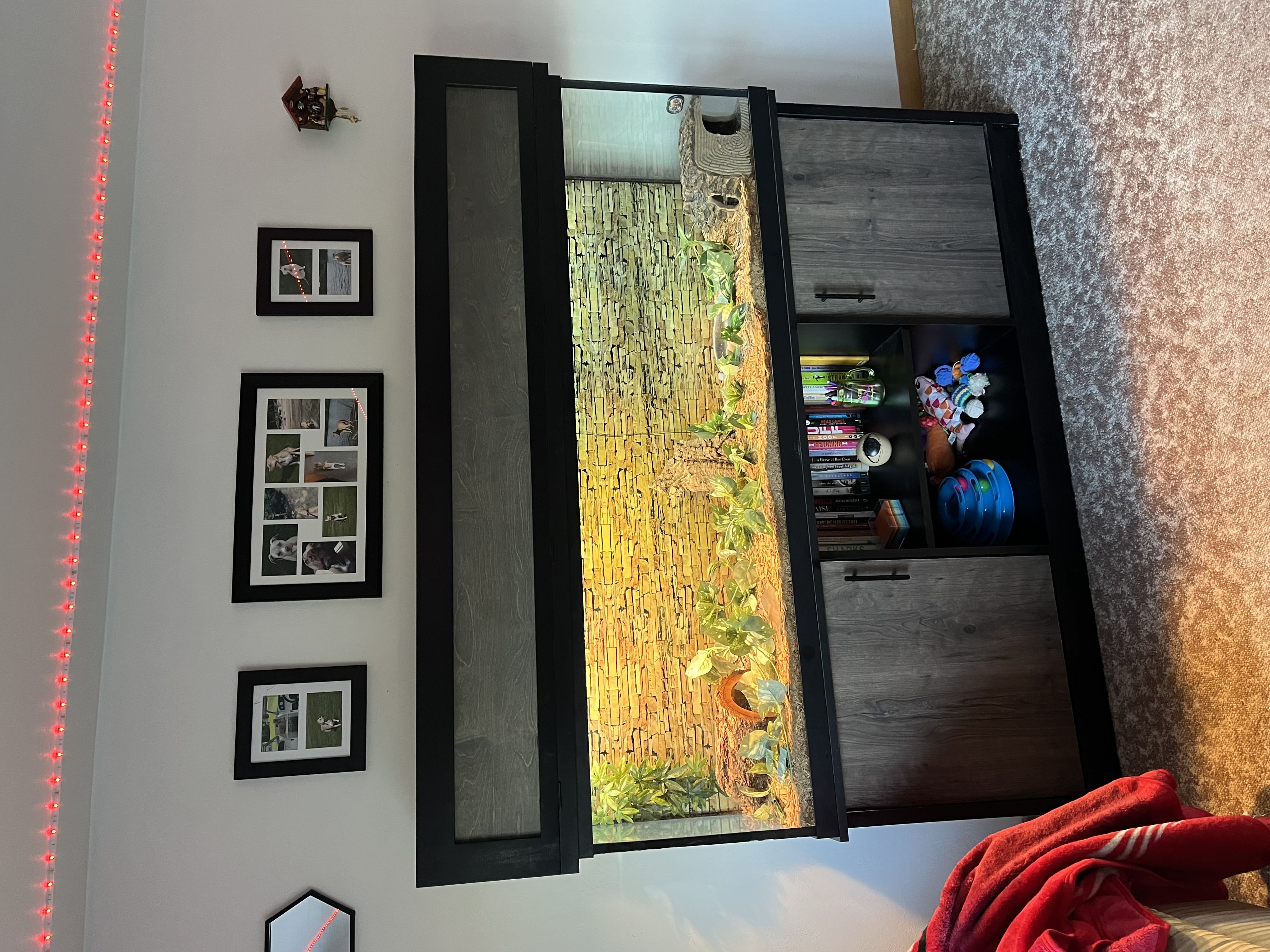 Terrarium Light Cover